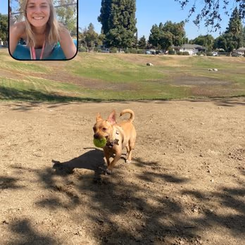 Kroll Dog Park